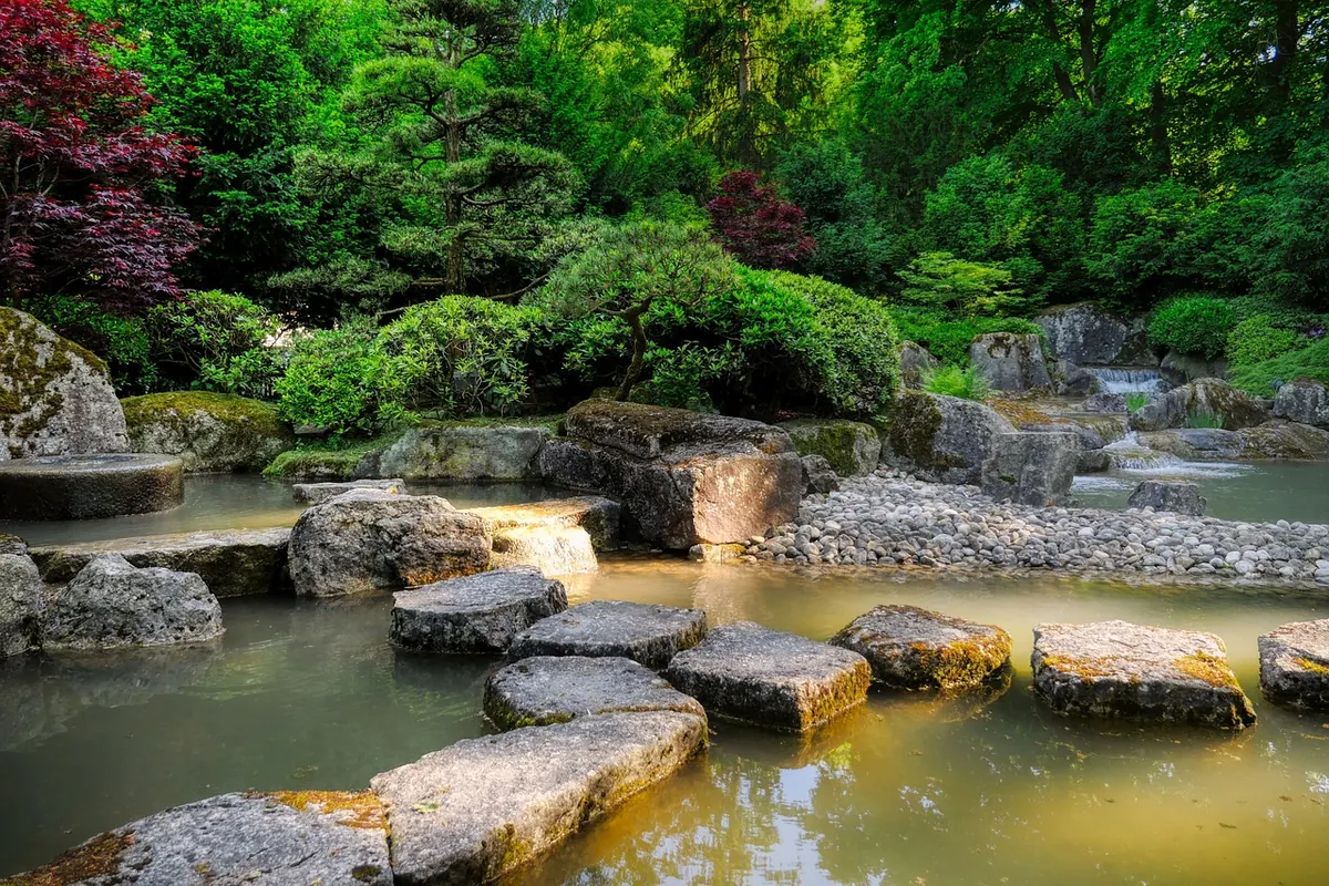 How to Create a Mini Brook Edge in a Wildlife Garden